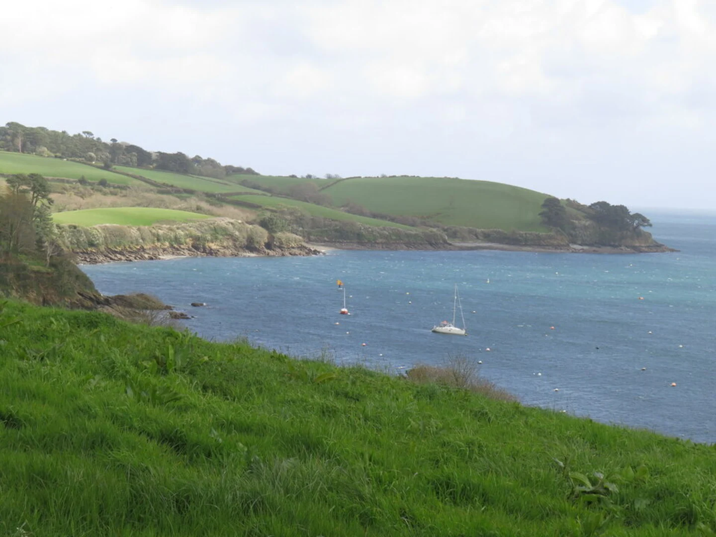 An image depicting the trail Trebah Garden Loop and its surrounding area.