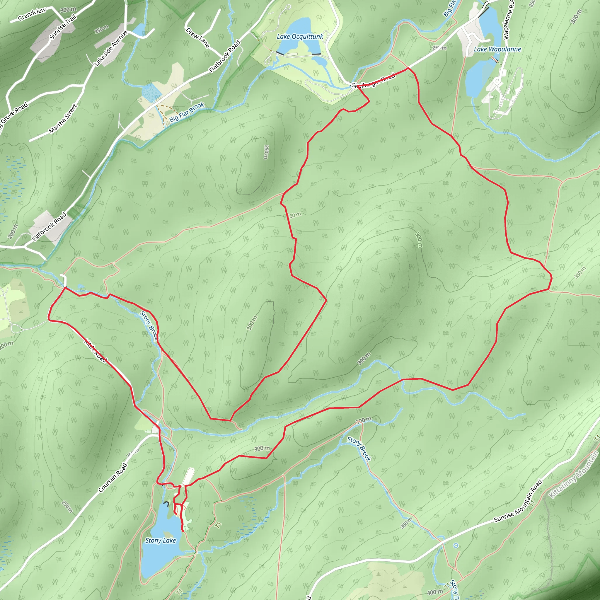 Stony Brook and Blue Mountain Loop Trail mobile static map