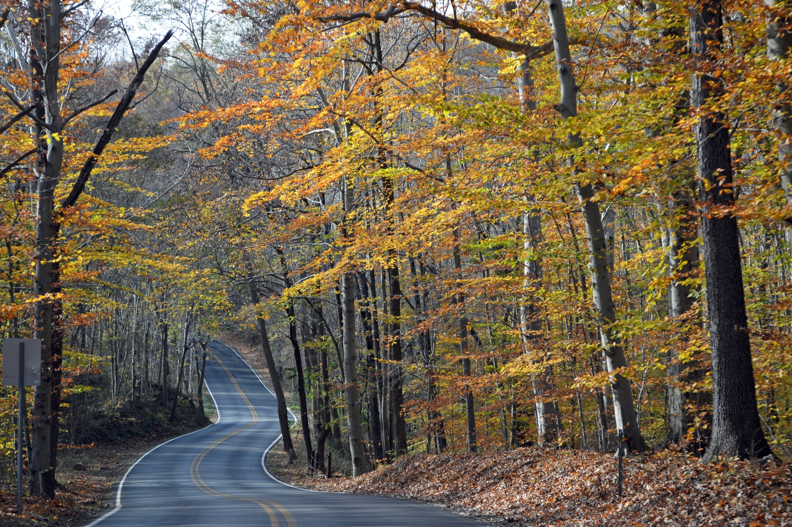An image depicting the trail White and Yellow Trail Loop - Ridley Creek State Park and its surrounding area.