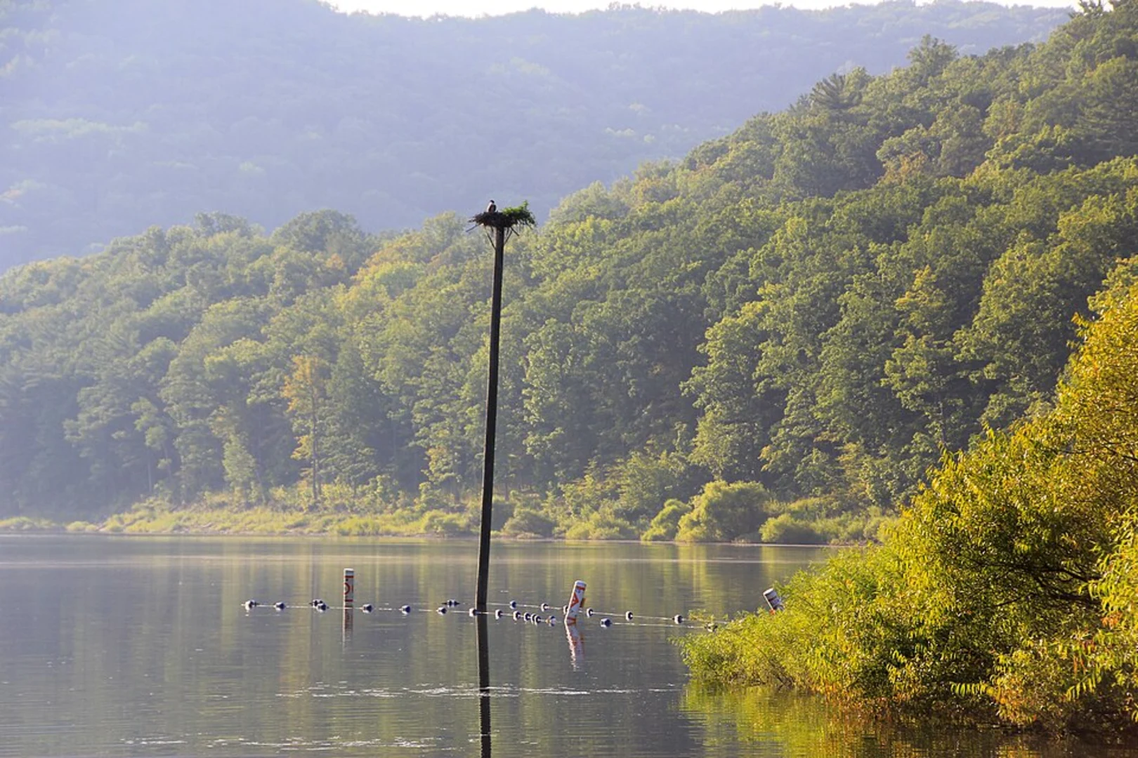 An image depicting the trail Allegheny River Trail and its surrounding area.