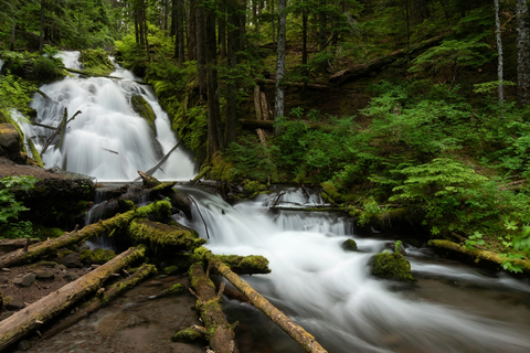 An image depicting the trail Paradise Park Trail and its surrounding area.