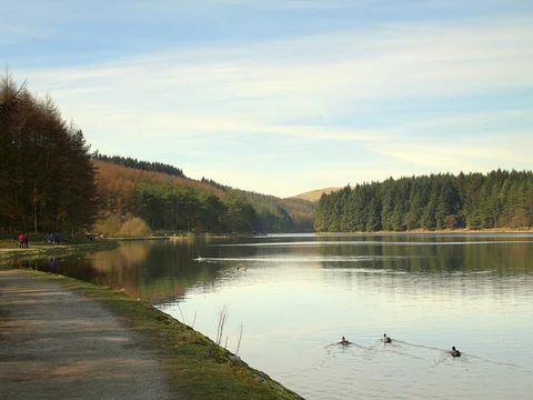 Entwistle to Chorley Walk