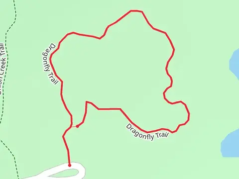 Dragonfly Loop Trail