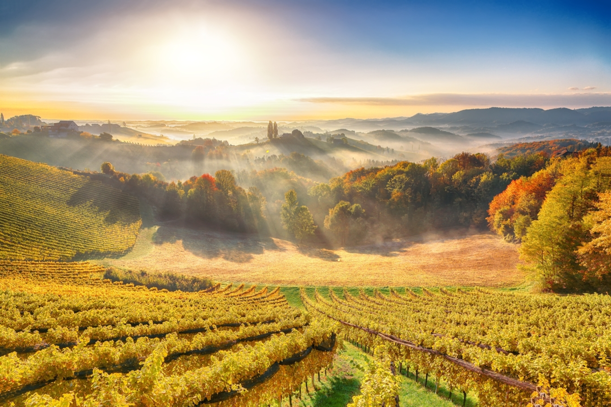 Steinbach-Sernauberg-Gamlitzberg