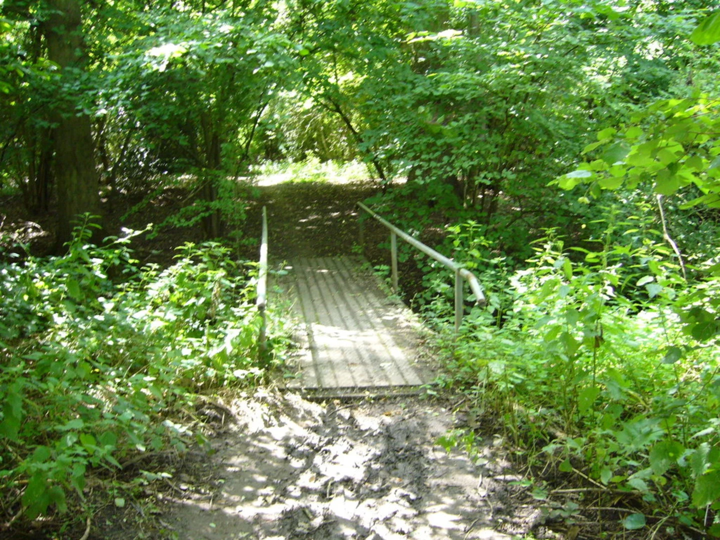 An image depicting the trail Spade Oak Lake Loop and its surrounding area.