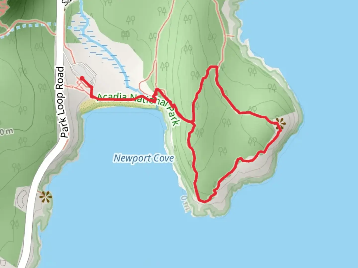 An image depicting the trail Great Head Loop and its surrounding area.