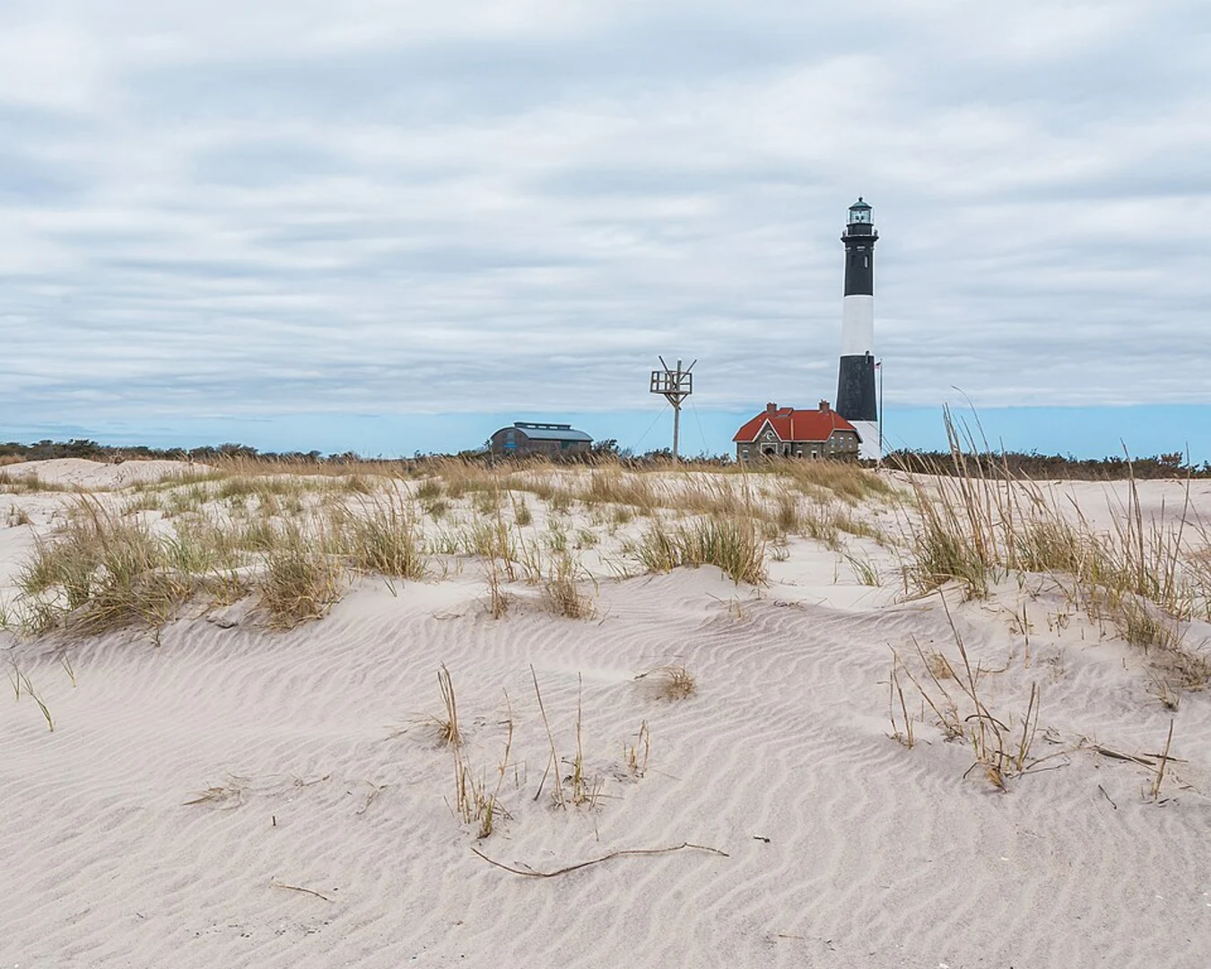An image depicting the trail Sunken Forest Nature Loop Trail from Fire Island and its surrounding area.