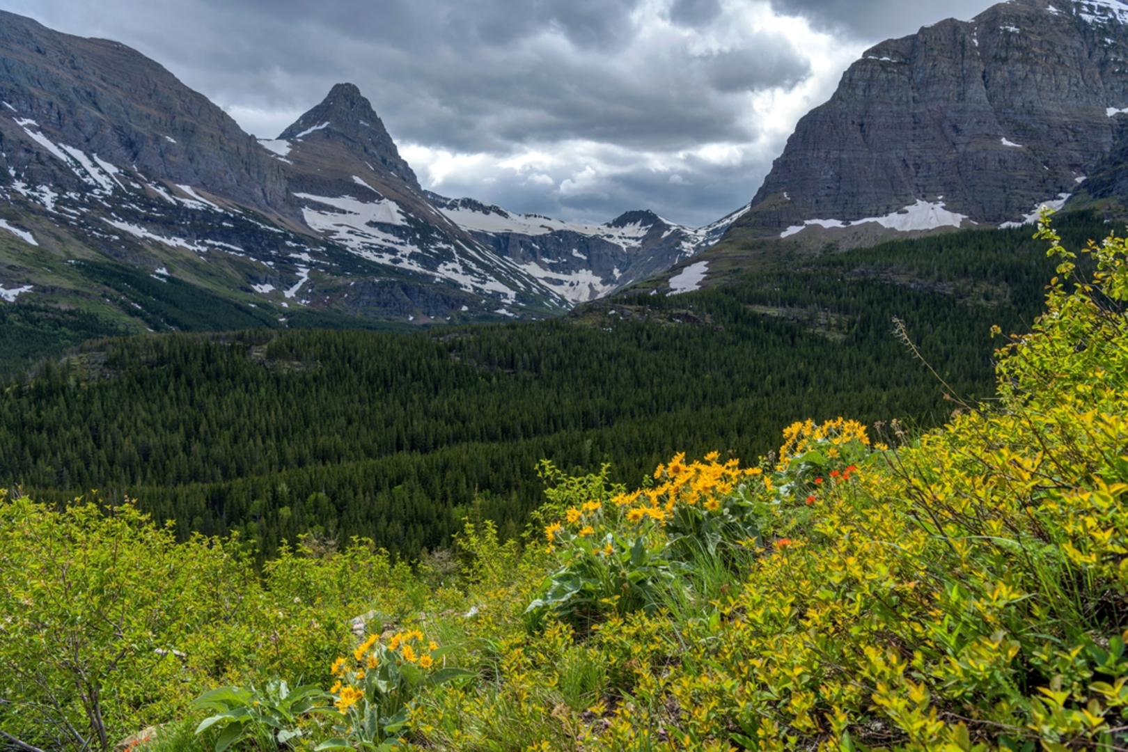 An image depicting the trail Swiftcurrent Mountain via Swiftcurrent Pass Trail and its surrounding area.