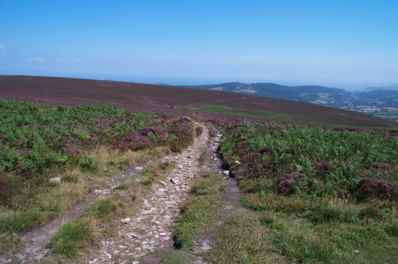 An image depicting the trail Porlock, Higher Crockwell and Porlock Weir Loop via Horner Wood and its surrounding area.
