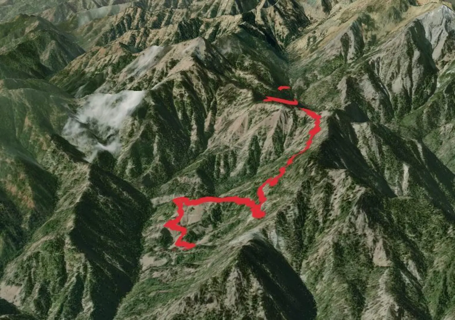 An image depicting the trail Shaser Creek Road System Trail and its surrounding area.