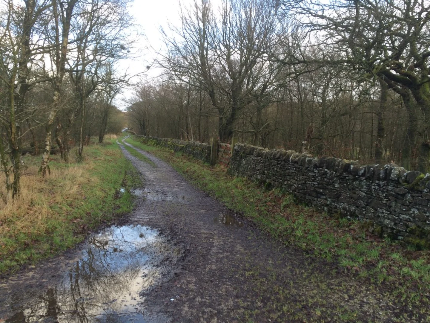 An image depicting the trail New Barn Loop and its surrounding area.