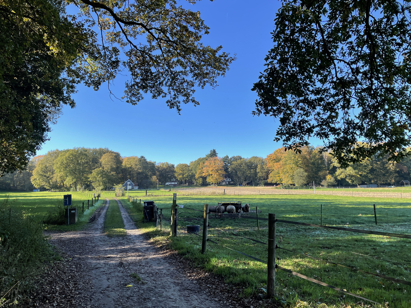 An image depicting the trail Holsener Weg and Hellendoorn Gele Loop and its surrounding area.