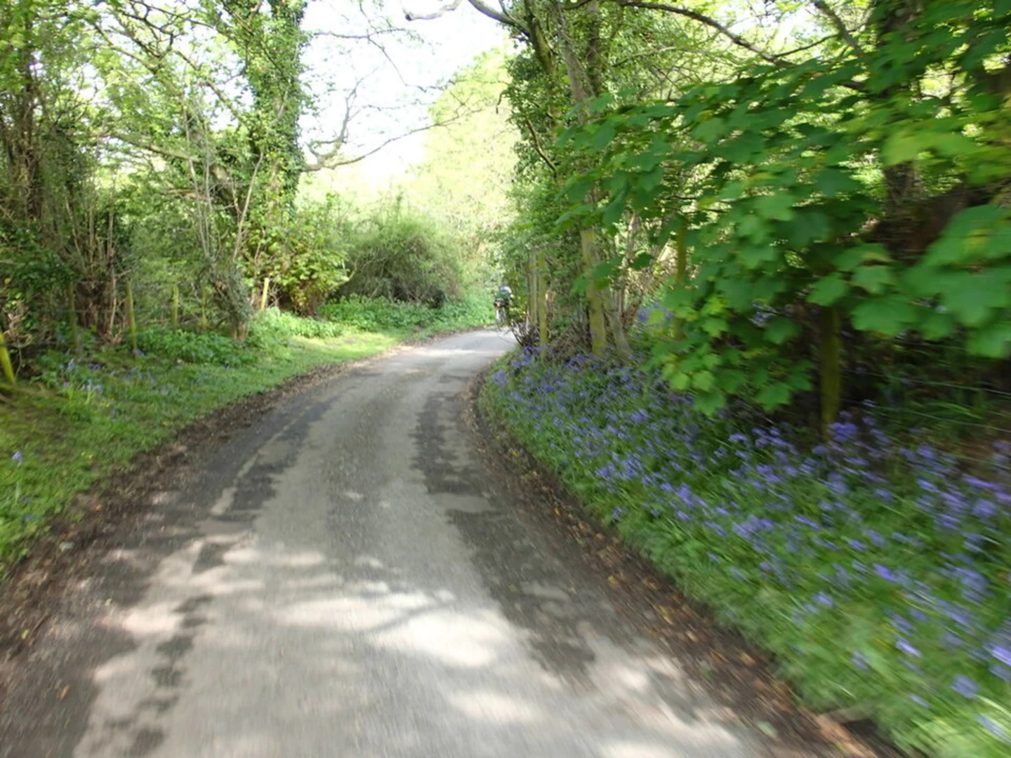 An image depicting the trail Alyn Waters Country Park and its surrounding area.