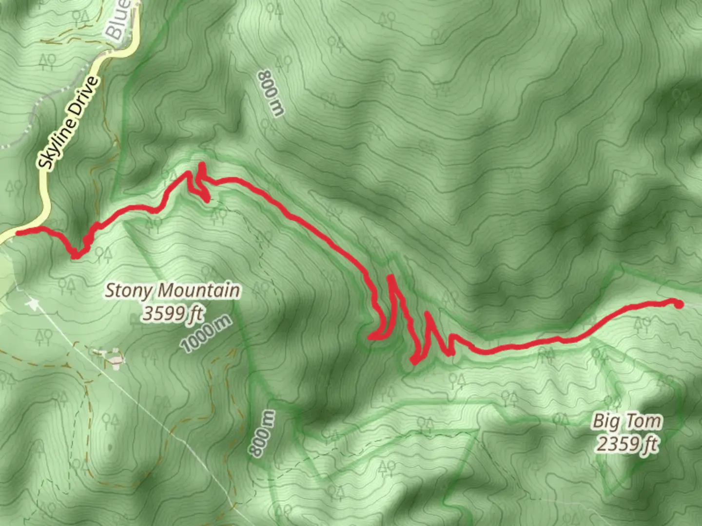 An image depicting the trail Rose River Fire Road and Dark Hollow Falls Trail and its surrounding area.