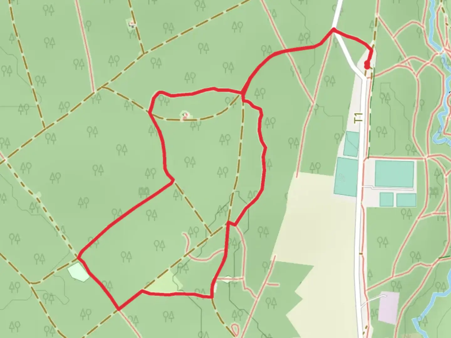 An image depicting the trail Staatsforst Short Loop via Naturlehrpfad and its surrounding area.