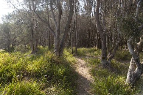 Murramarang Aboriginal Area Track