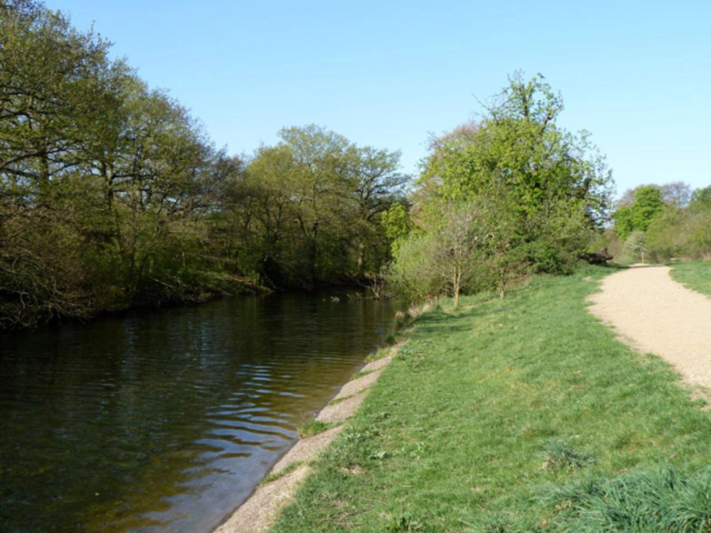 An image depicting the trail Bush Wood, Reservoir Wood and Wanstead Park Loop and its surrounding area.