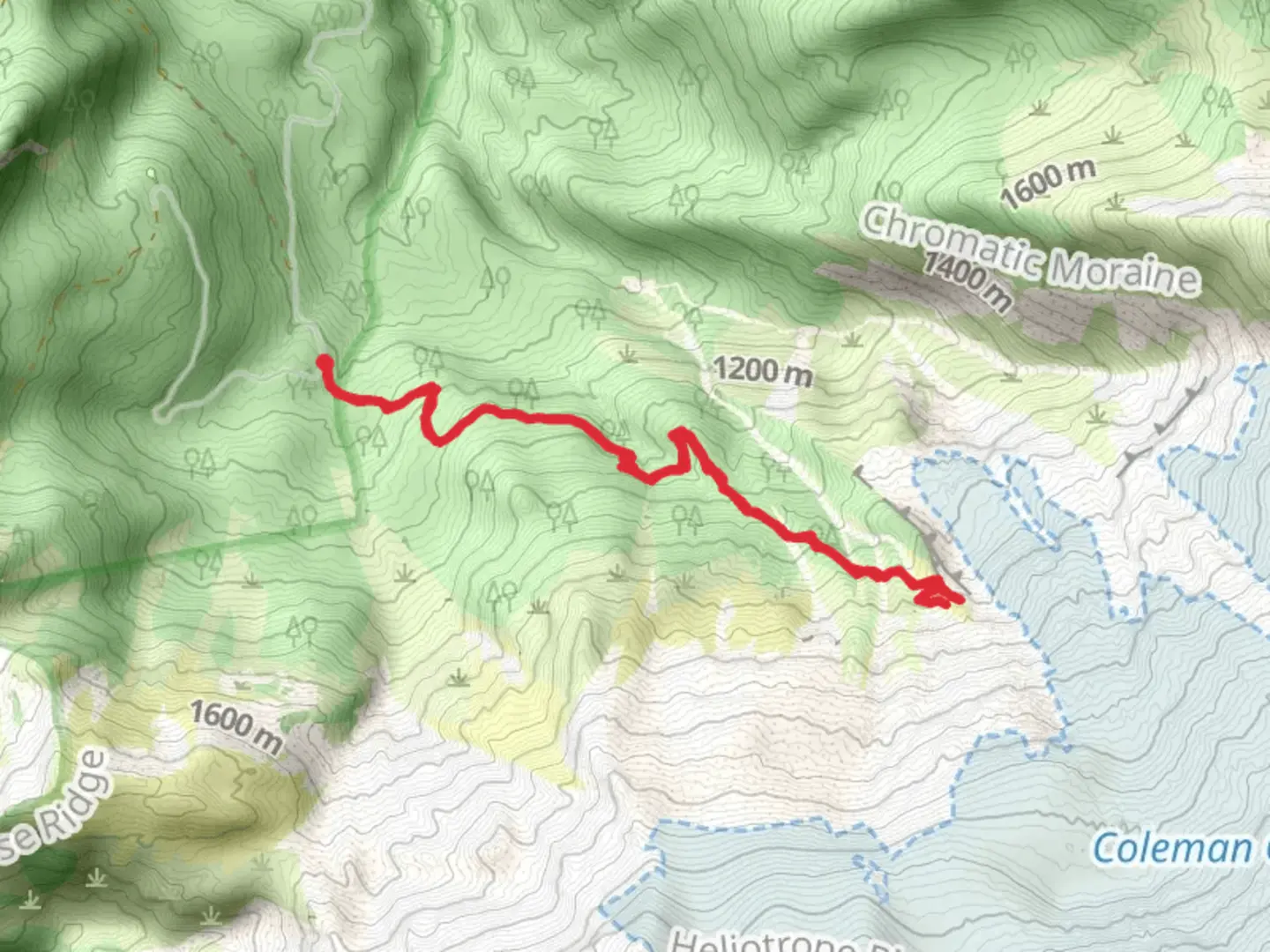 An image depicting the trail Glacier View and Heliotrope Ridge Trail and its surrounding area.