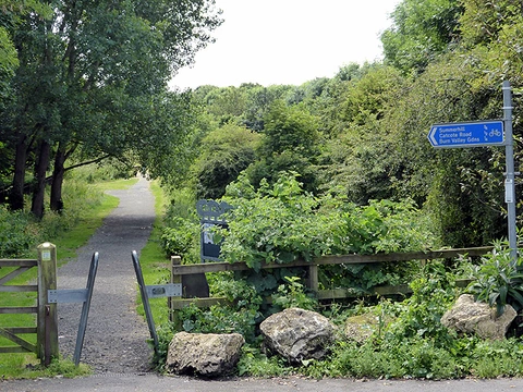 Summerhill Country Park Loop - Dalton Piercy