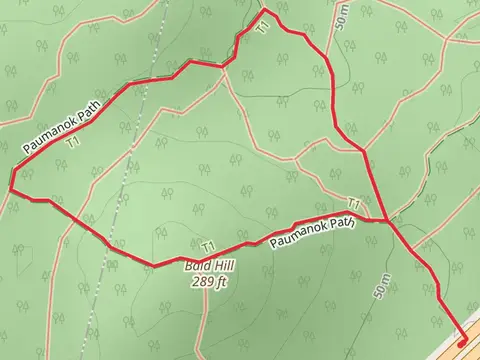 Bald Hill via Paumanok Path