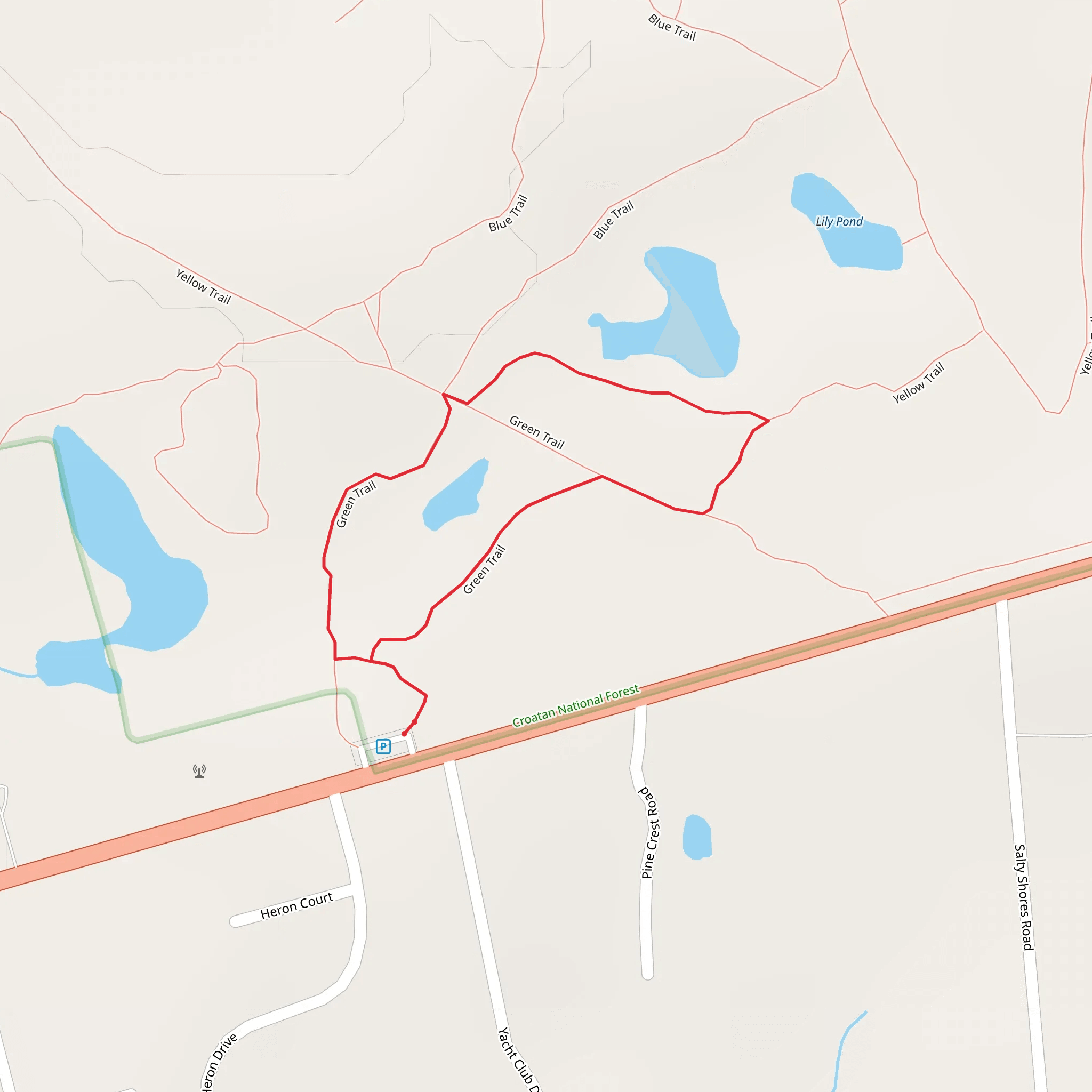 Patsy Pond Green Loop Trail mobile static map