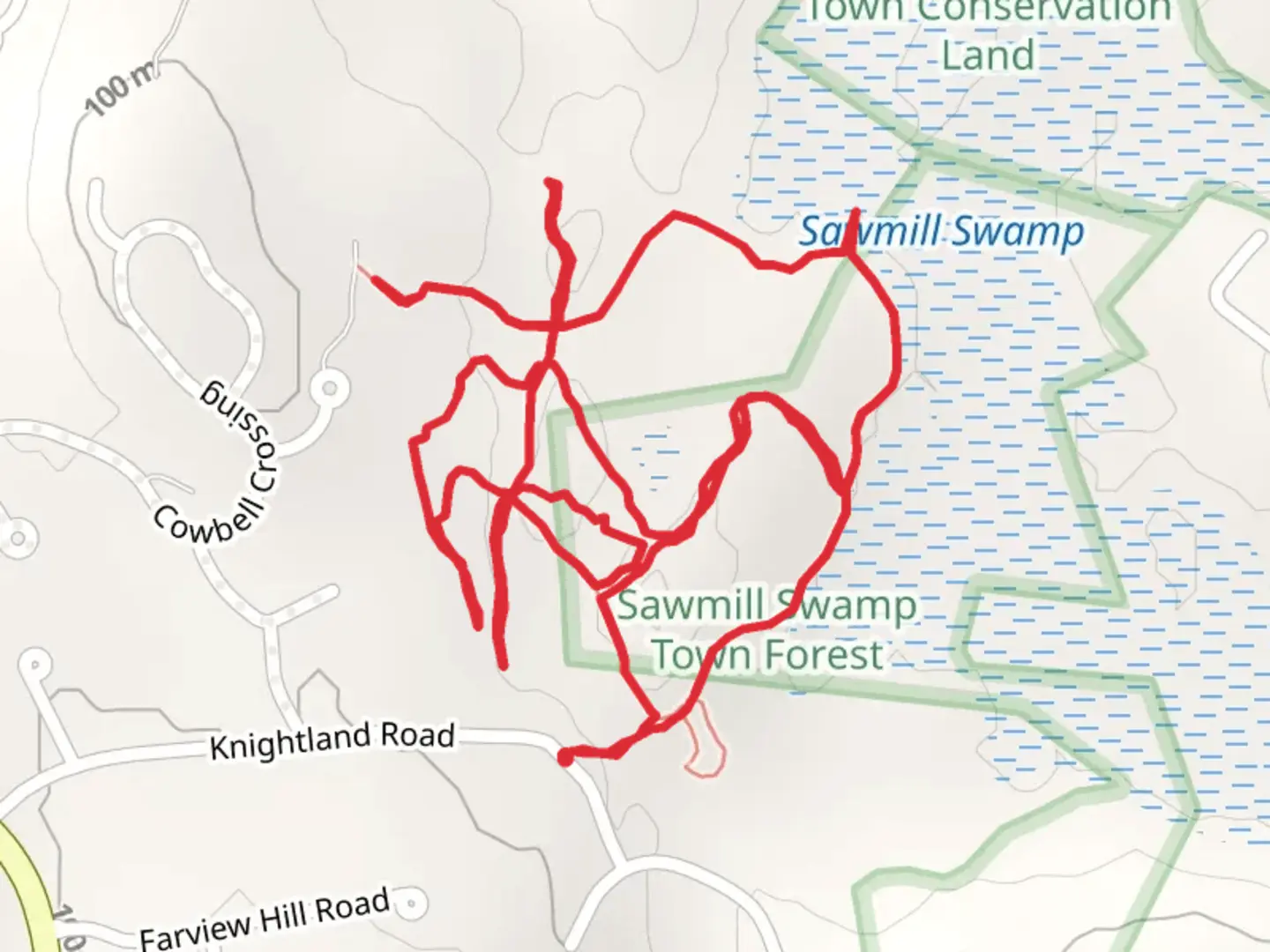 An image depicting the trail Sawmill Swamp West Loop and its surrounding area.