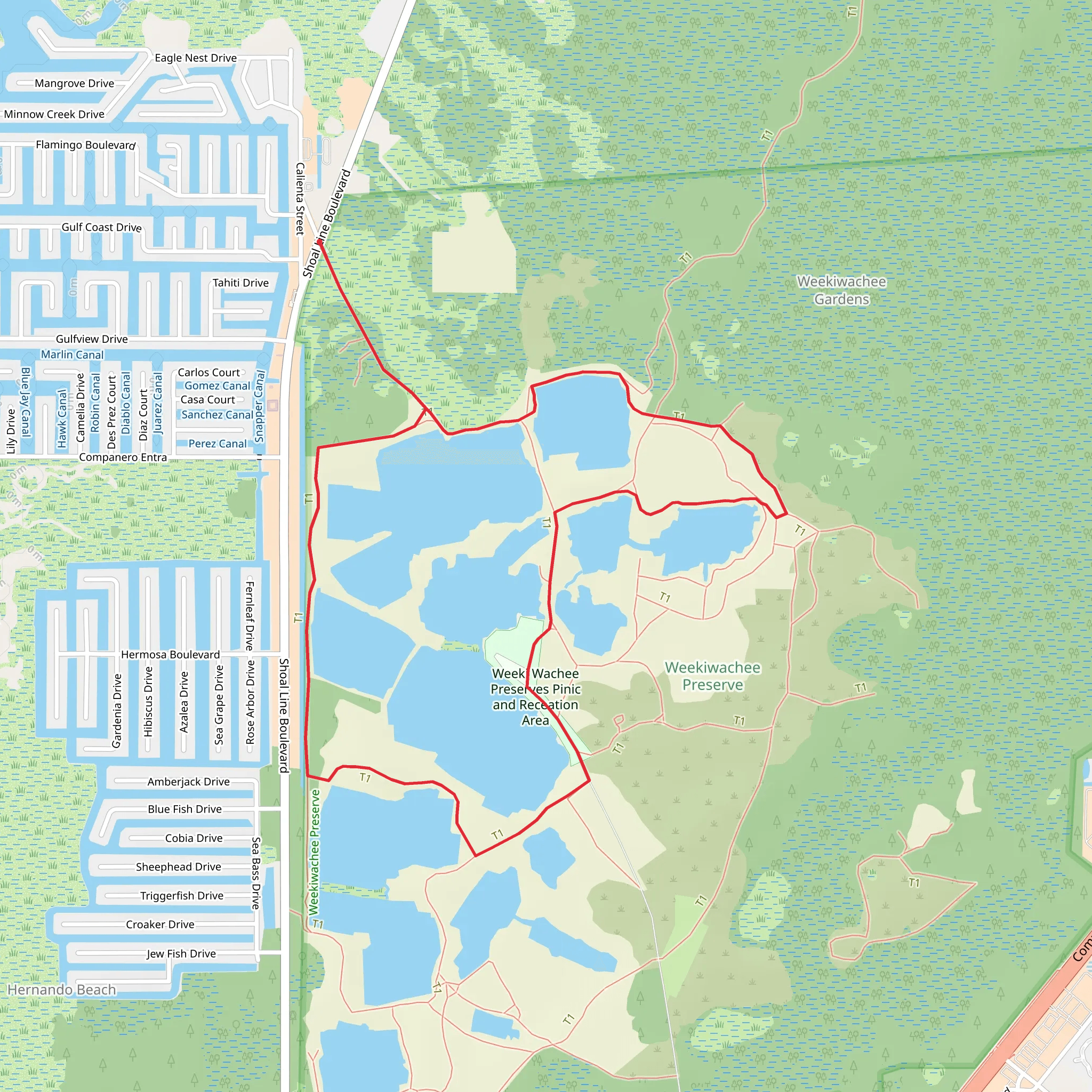 Weeki Wachee Preserves Loop mobile static map