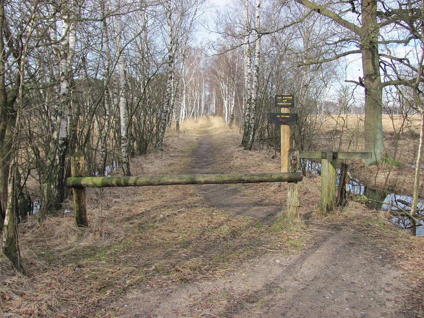 An image depicting the trail Duvenstedter Triftweg and Zum Grenzwall Loop and its surrounding area.