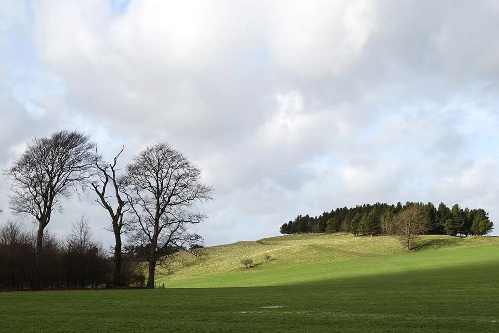 An image depicting the trail Chatsworth Park and New Piece Wood Loop - Edensor and its surrounding area.