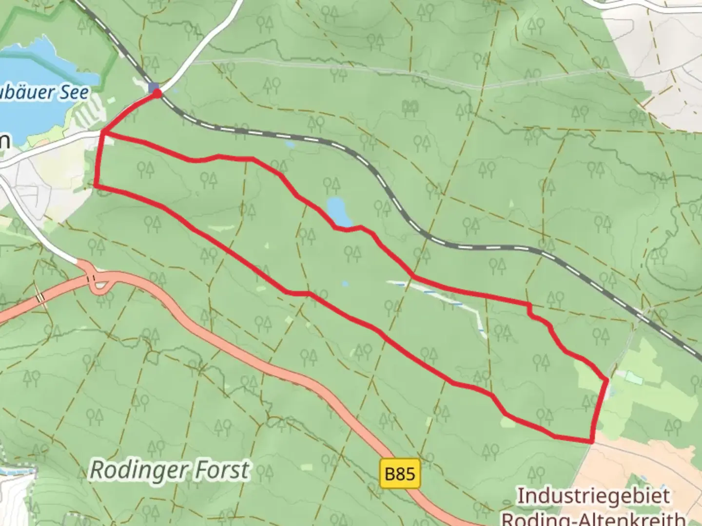 An image depicting the trail Rodinger Forst Loop and its surrounding area.