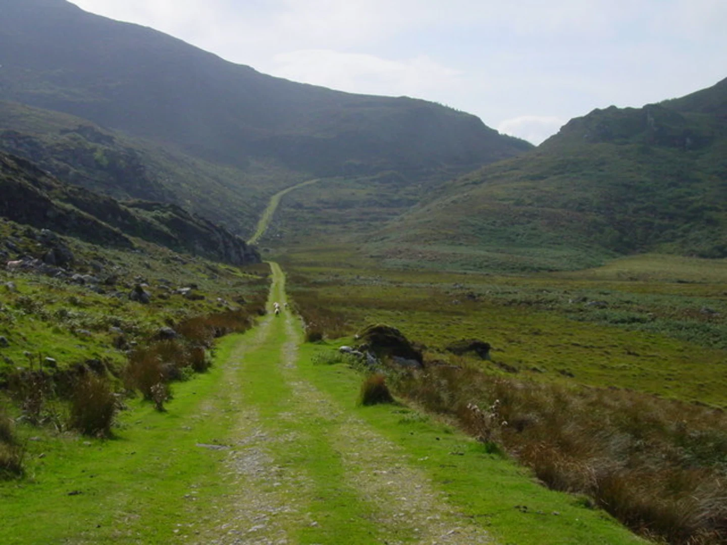 An image depicting the trail Knocknabro Loop Walk and its surrounding area.