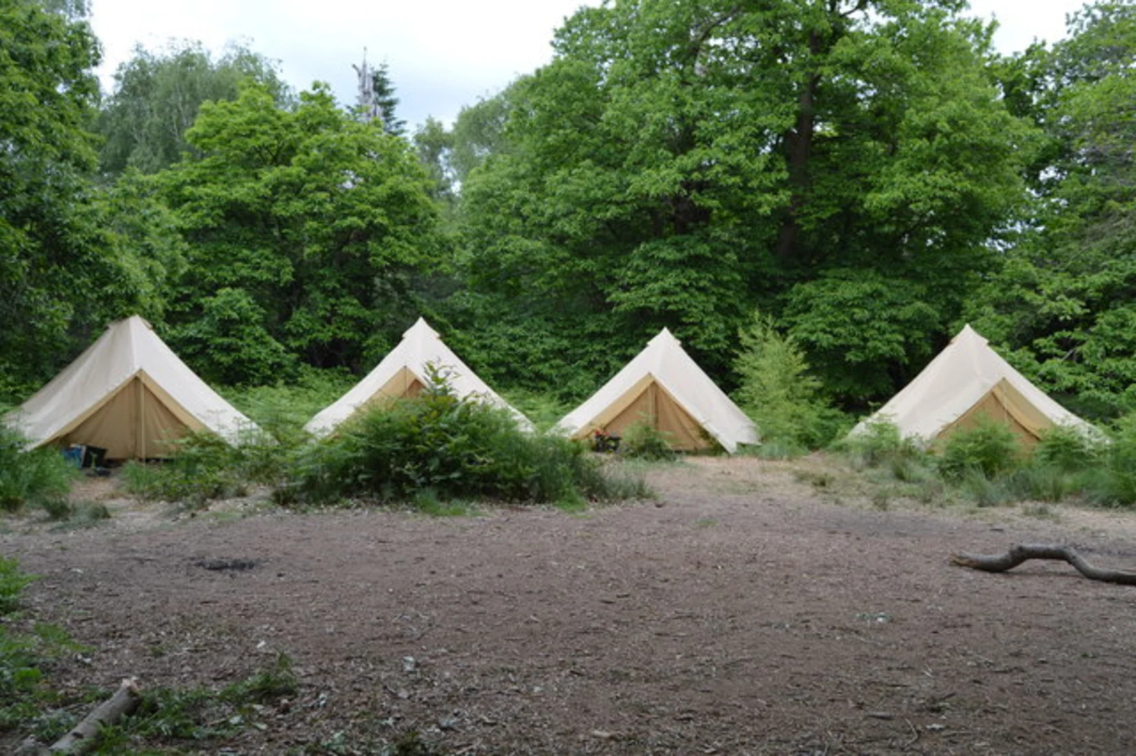 An image depicting the trail Penshurst Park and Eden Valley Walk and its surrounding area.