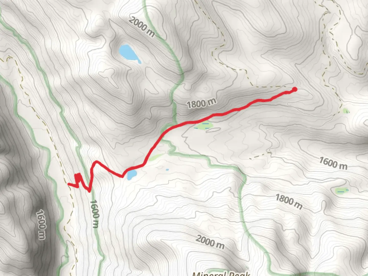 An image depicting the trail West Fork Gold Creek Trail and its surrounding area.