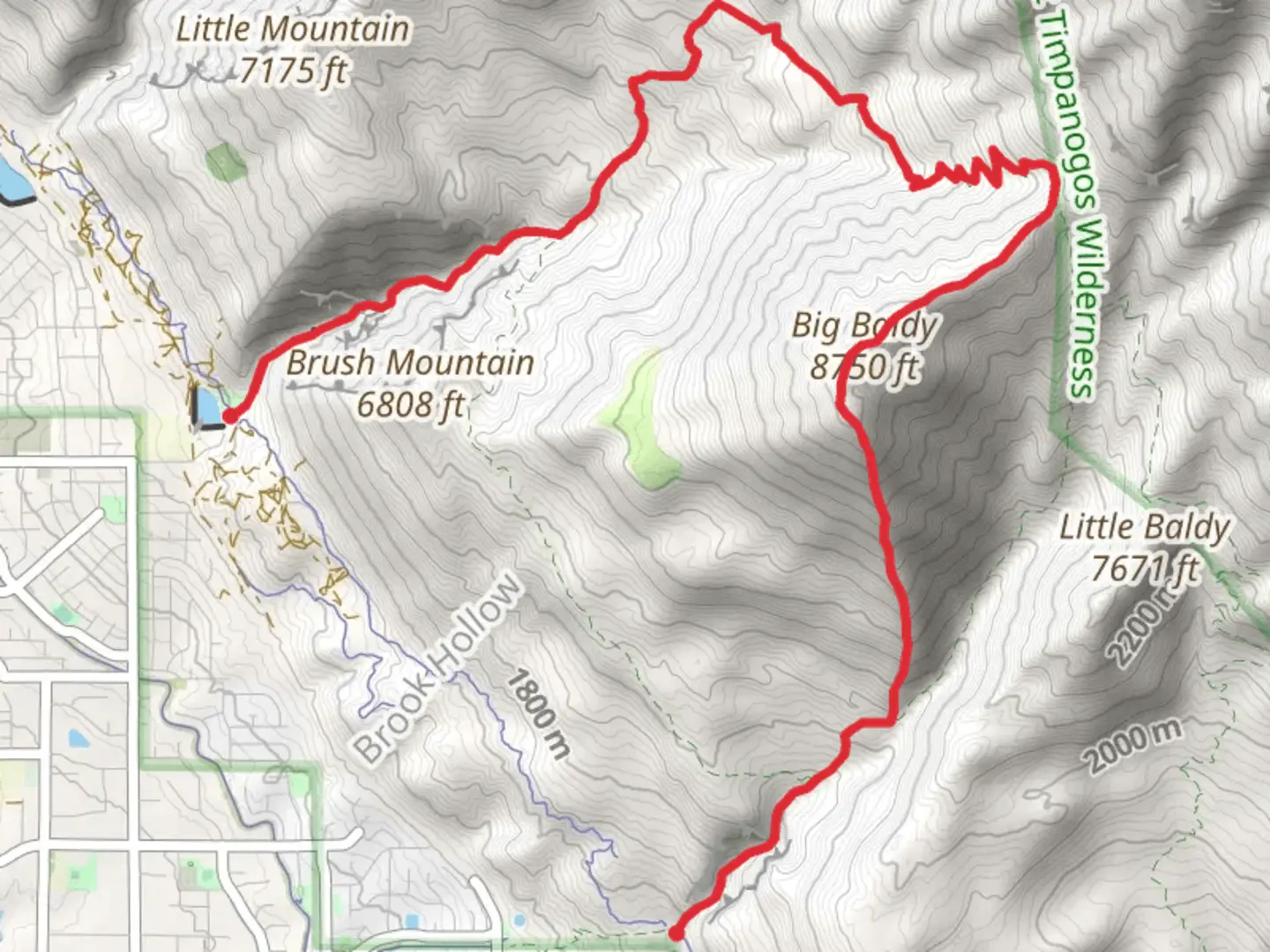 An image depicting the trail Big Baldy and Battle Creek Trail and its surrounding area.