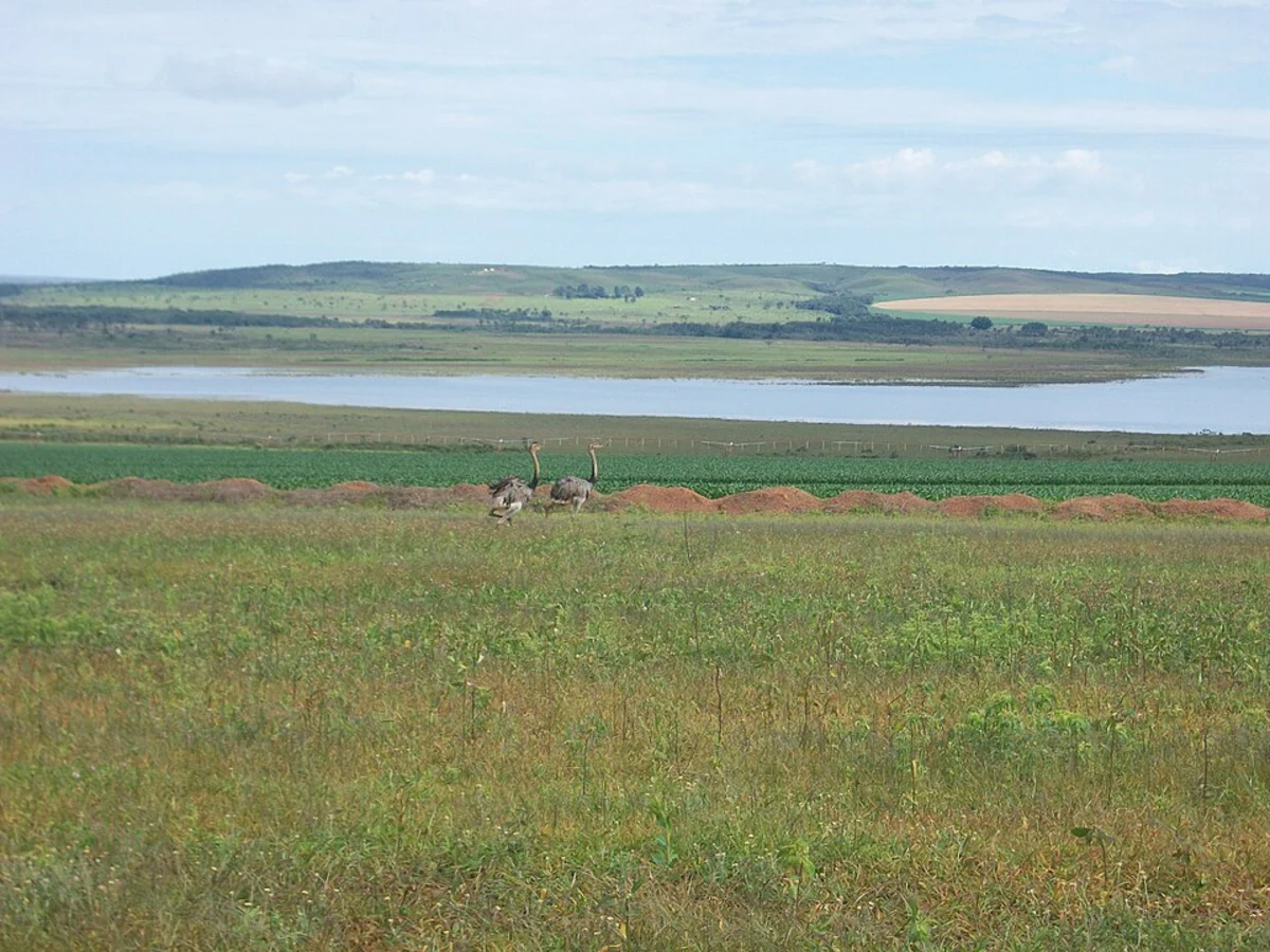 Aqua Fria Lake Trail