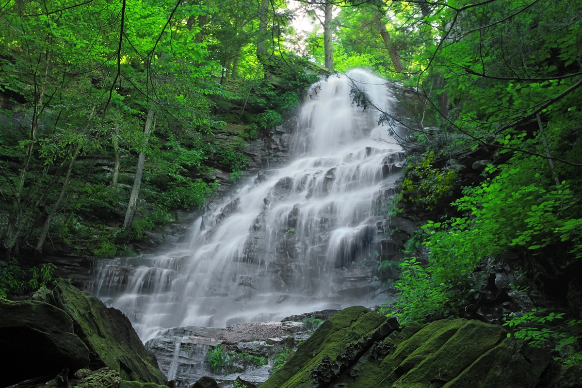 Angel Falls via Loyalsock Trail