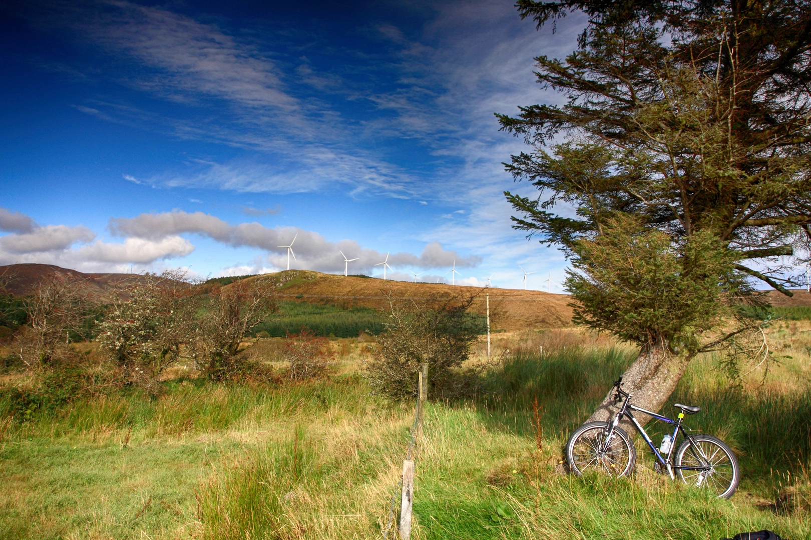 An image depicting the trail Great Western Greenway - Castlebar to Turlough and its surrounding area.