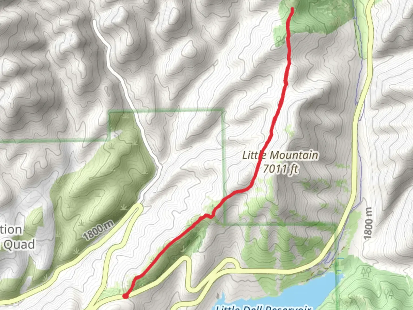 An image depicting the trail Lookout Peak Trail Out and Back and its surrounding area.
