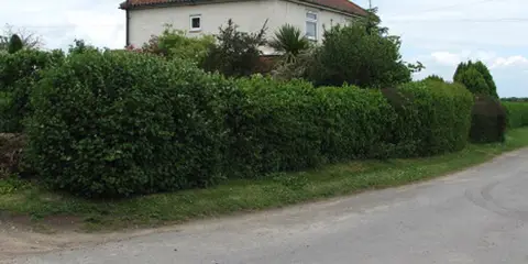 An image depicting the trail River Bure and Tunstall Dike from Acle and its surrounding area.