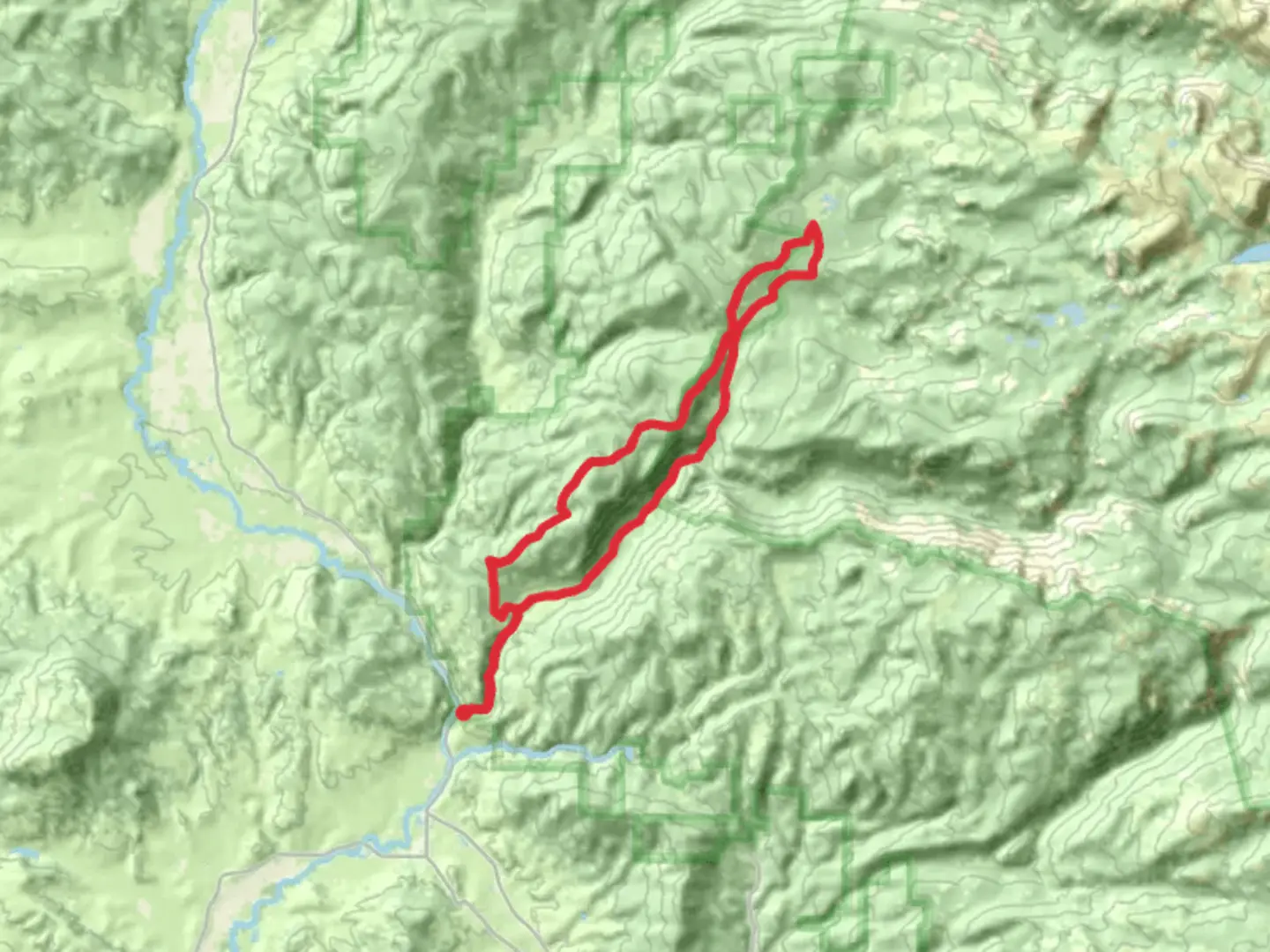An image depicting the trail Swamp Park Trail and Red Dirt Trail and its surrounding area.