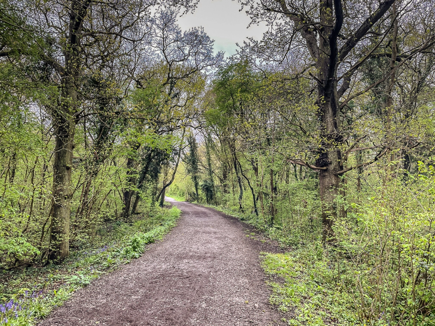 An image depicting the trail Horton Country Park Loop and its surrounding area.