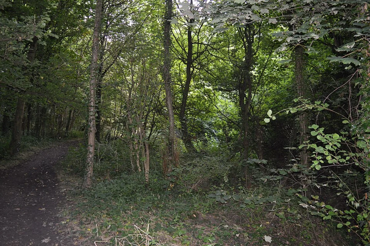 Brookmans Park and Gobions Pond Loop