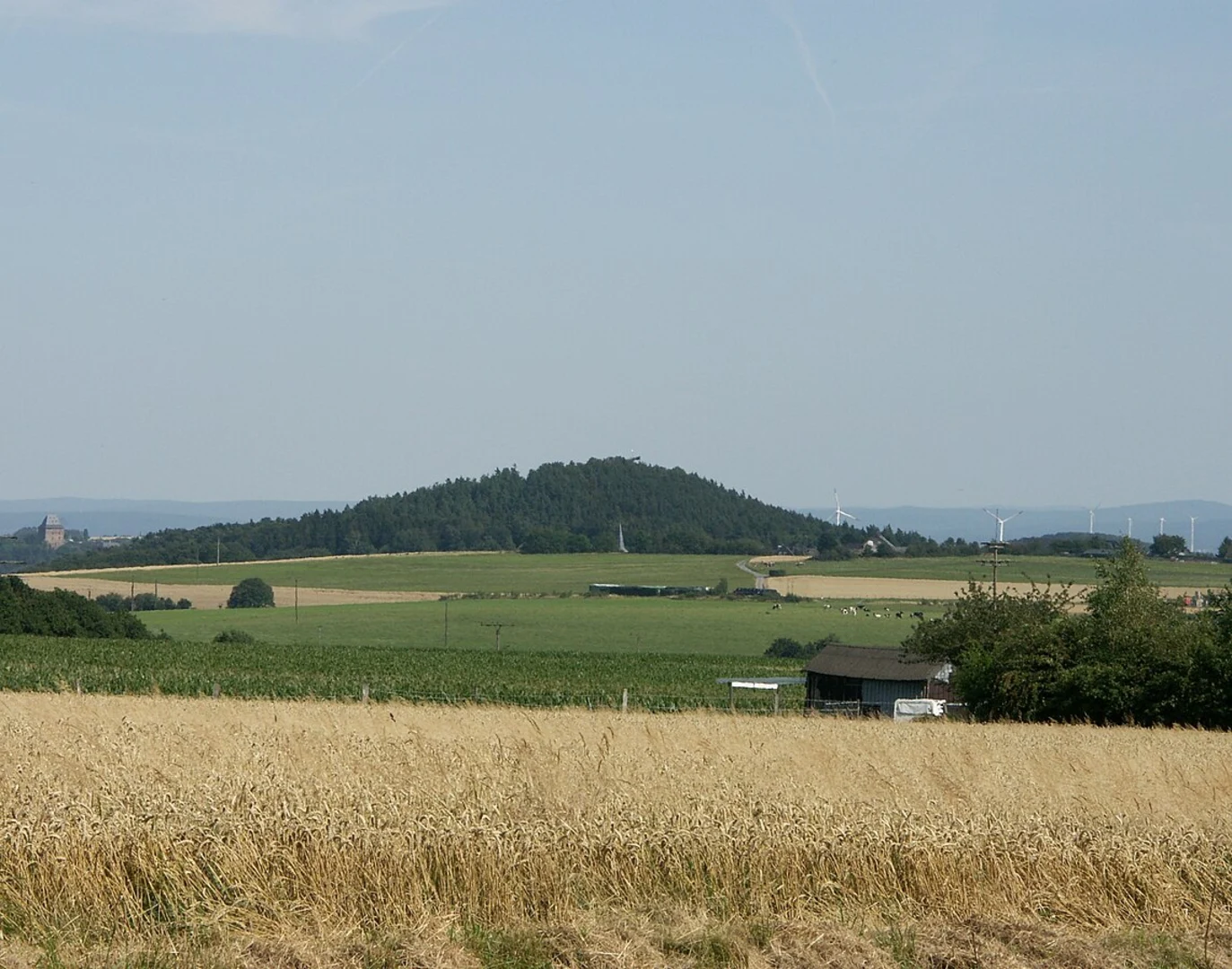 An image depicting the trail Conrad-Freytag-Weg and Bergstein bei Hambach Loop via Jakobsweg Speyer Metz and its surrounding area.