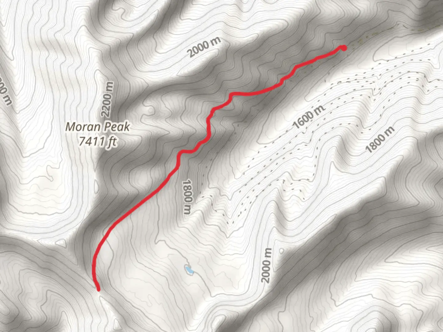 An image depicting the trail Moran Creek Trail and its surrounding area.