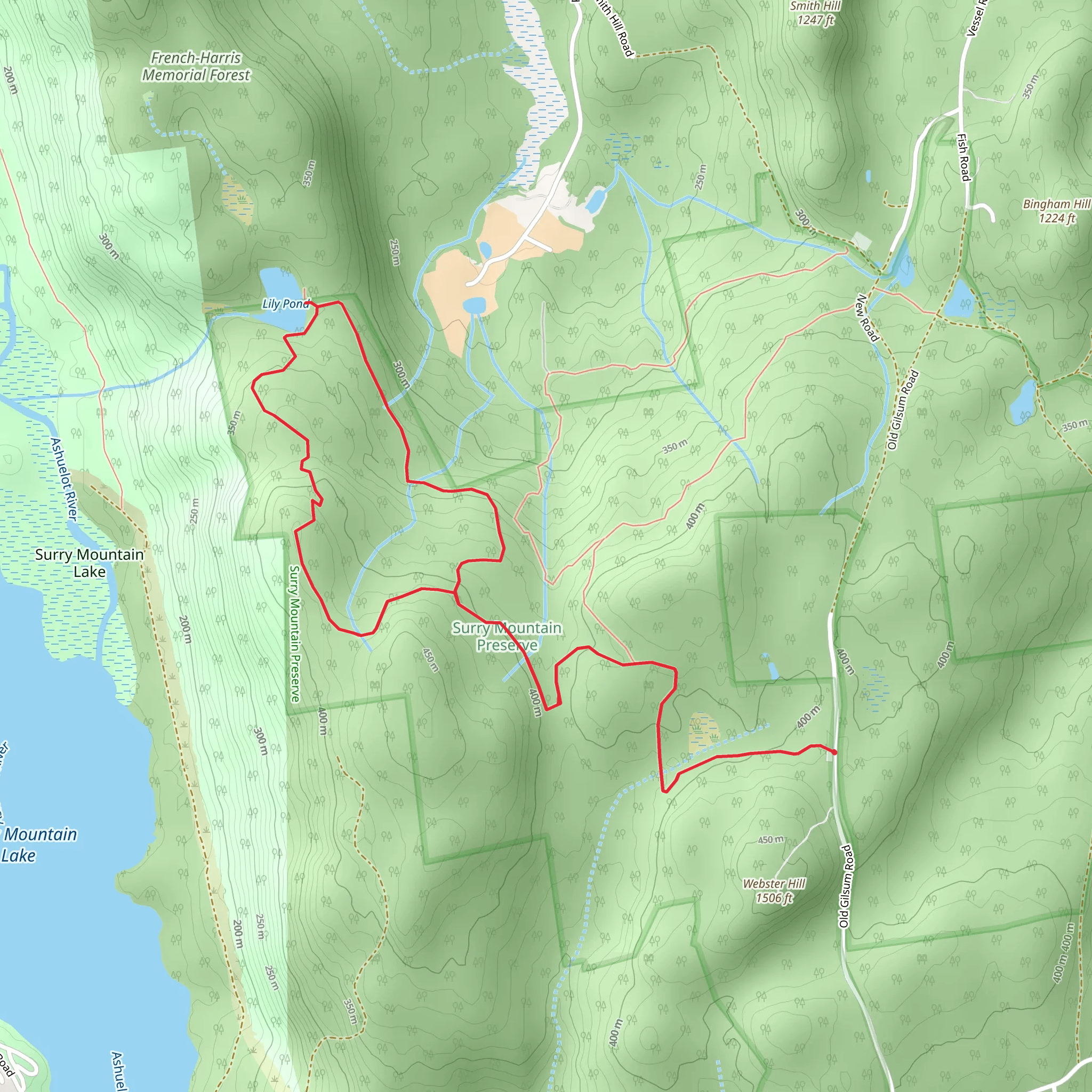 Lily Pond from Old Gilsum Road mobile static map