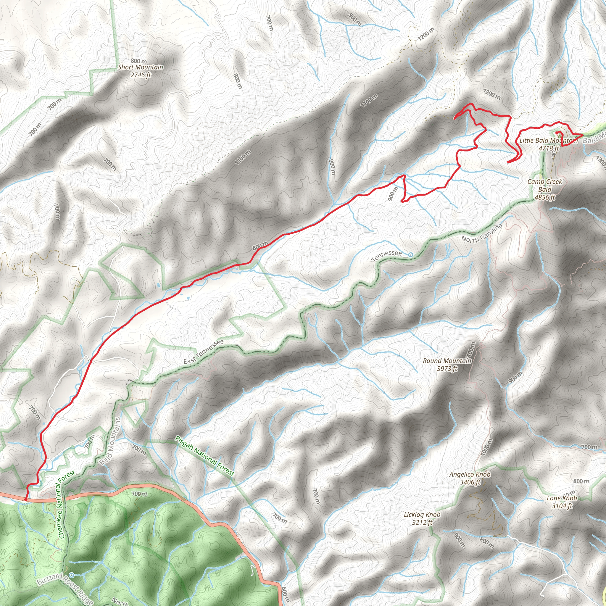 Little Bald Mountain and Low Gap via Viking Mountain Road mobile static map