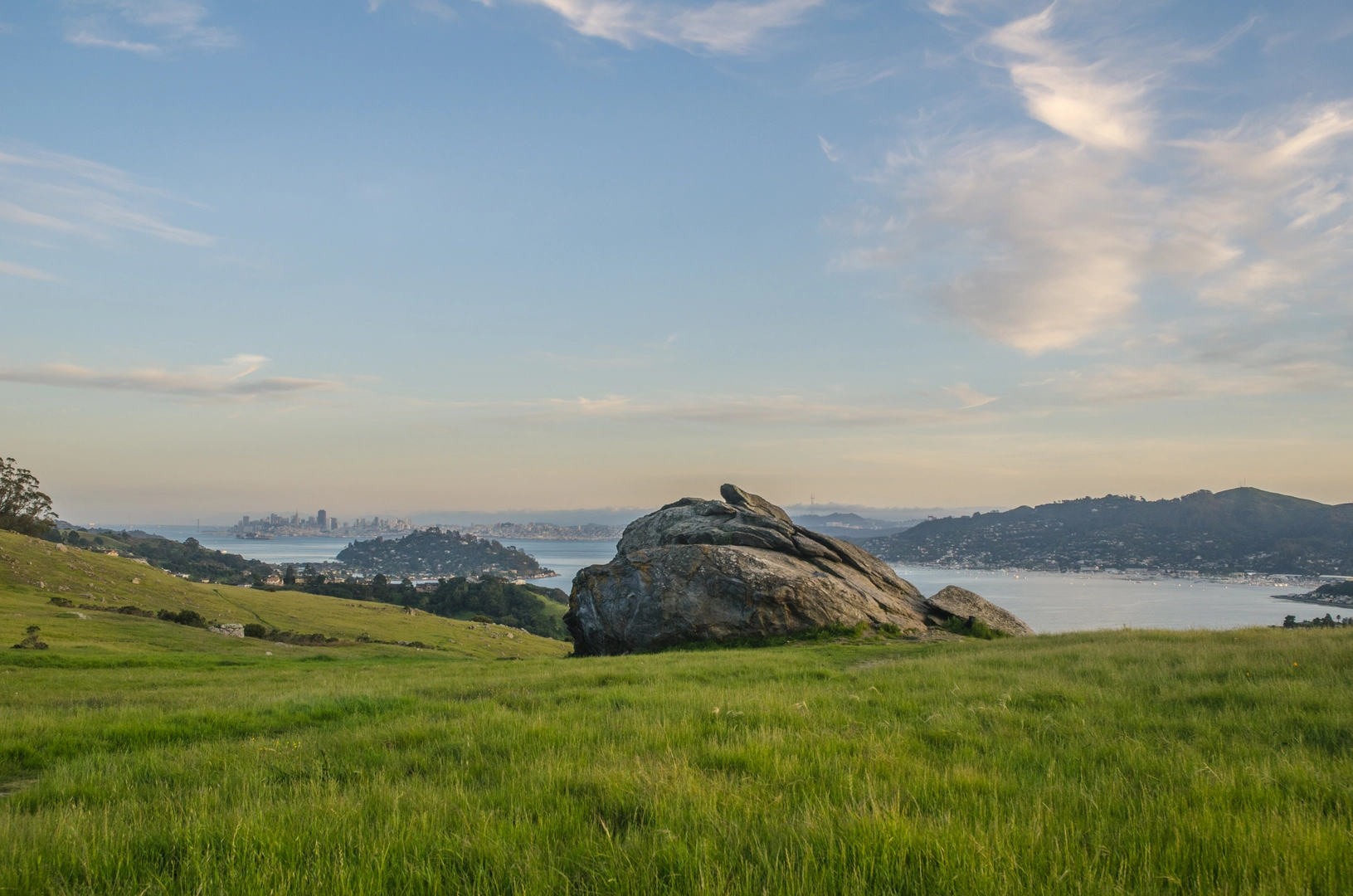 An image depicting the trail Phyllis Ellman Trail and its surrounding area.