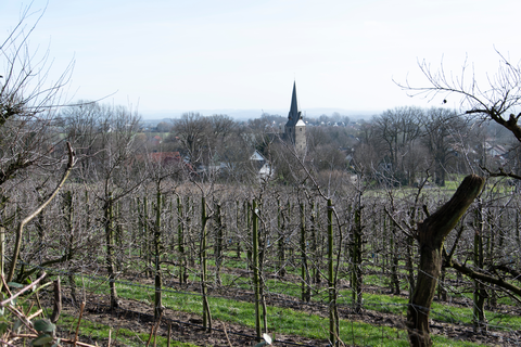 Mühlenweg im Wiehengebirge