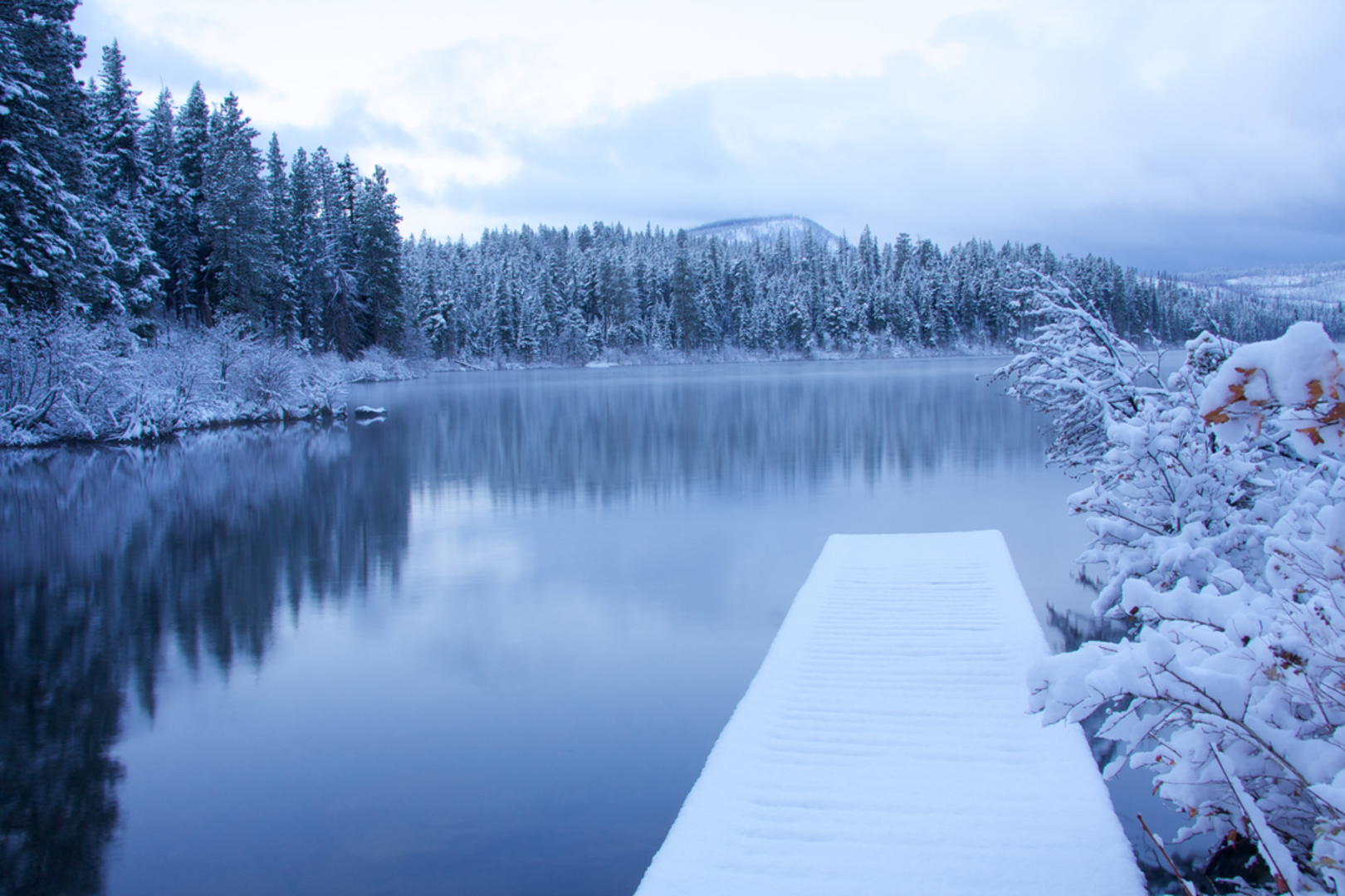 An image depicting the trail Suttle Lake Loop Trail and its surrounding area.