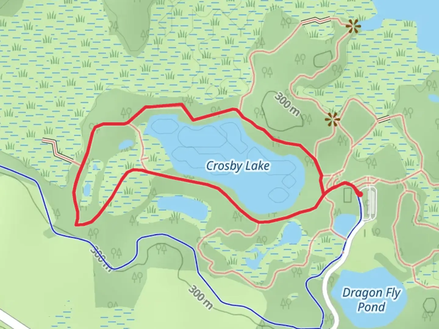 An image depicting the trail Crosby Lake Loop via Tamarack Trail and its surrounding area.